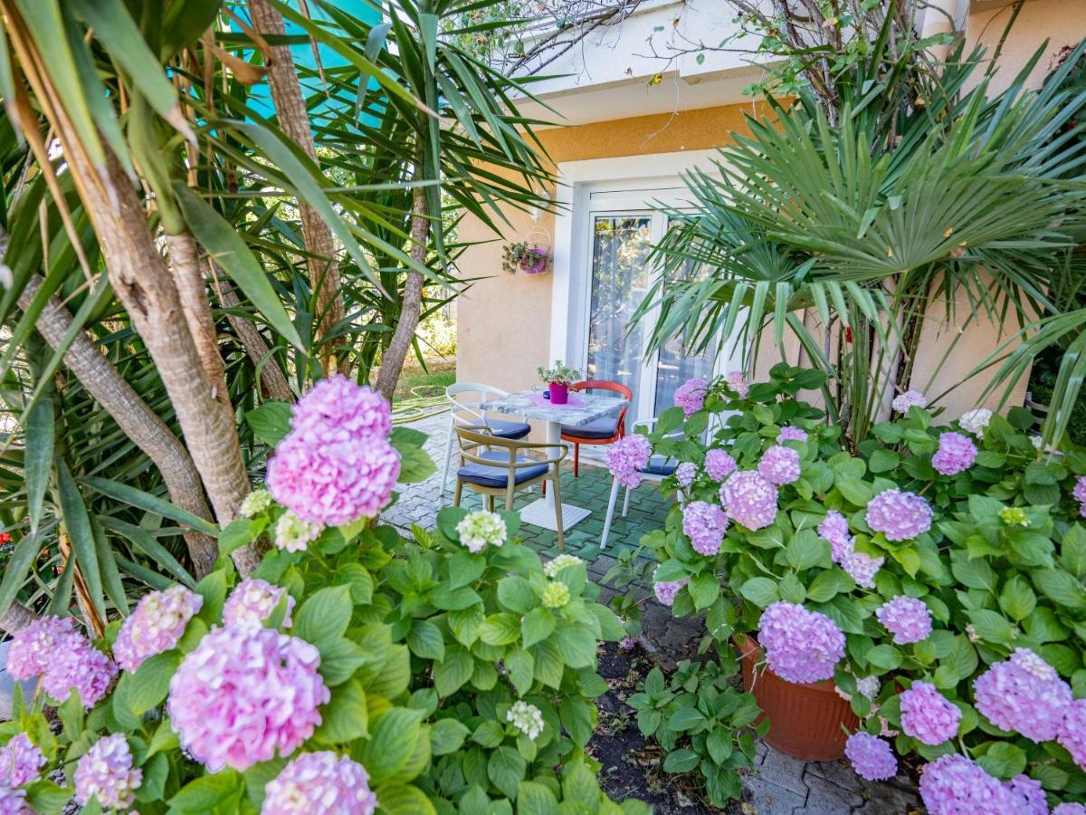 Apartments Villa Rudi بيبينيا المظهر الخارجي الصورة