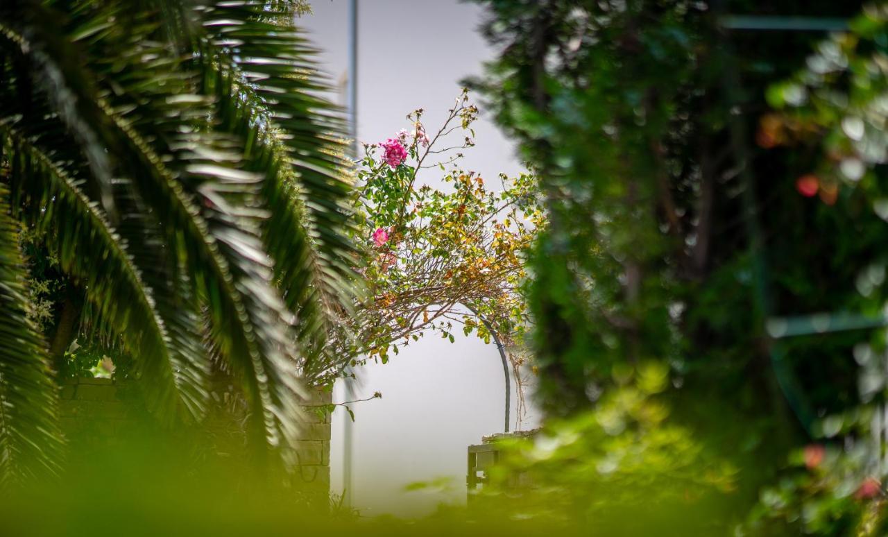 Apartments Villa Rudi بيبينيا المظهر الخارجي الصورة