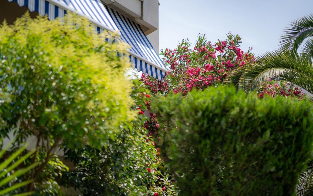 Apartments Villa Rudi بيبينيا المظهر الخارجي الصورة