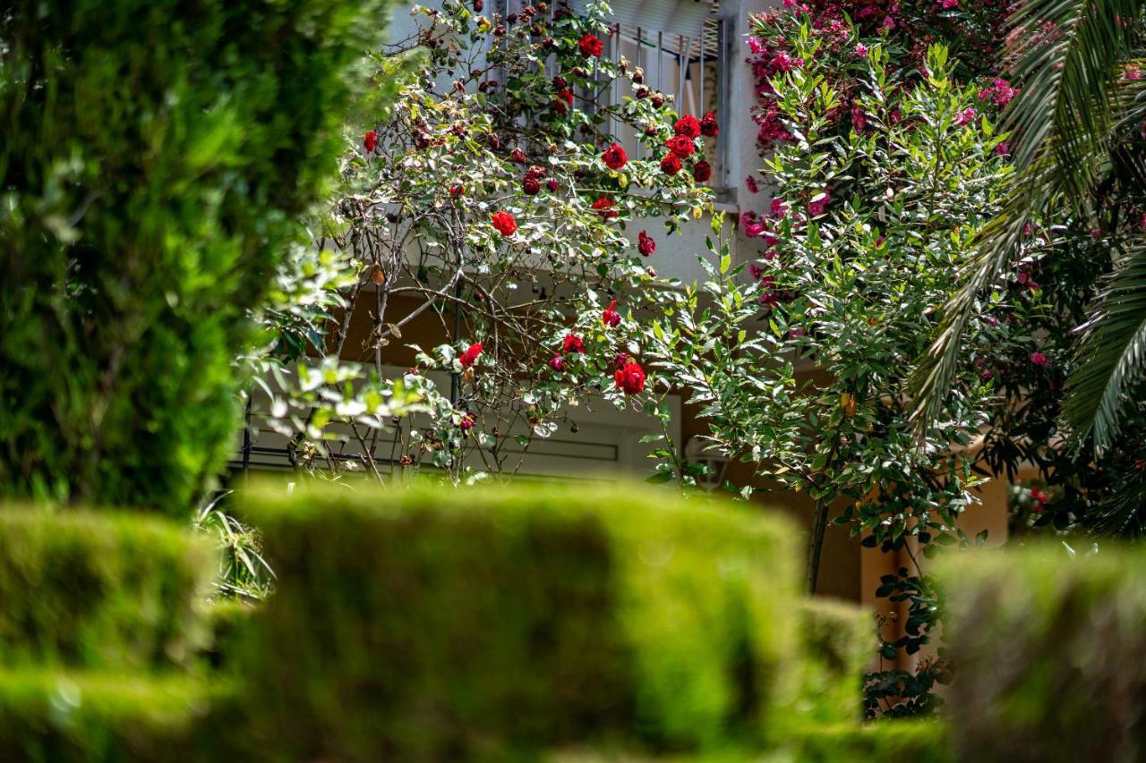 Apartments Villa Rudi بيبينيا المظهر الخارجي الصورة