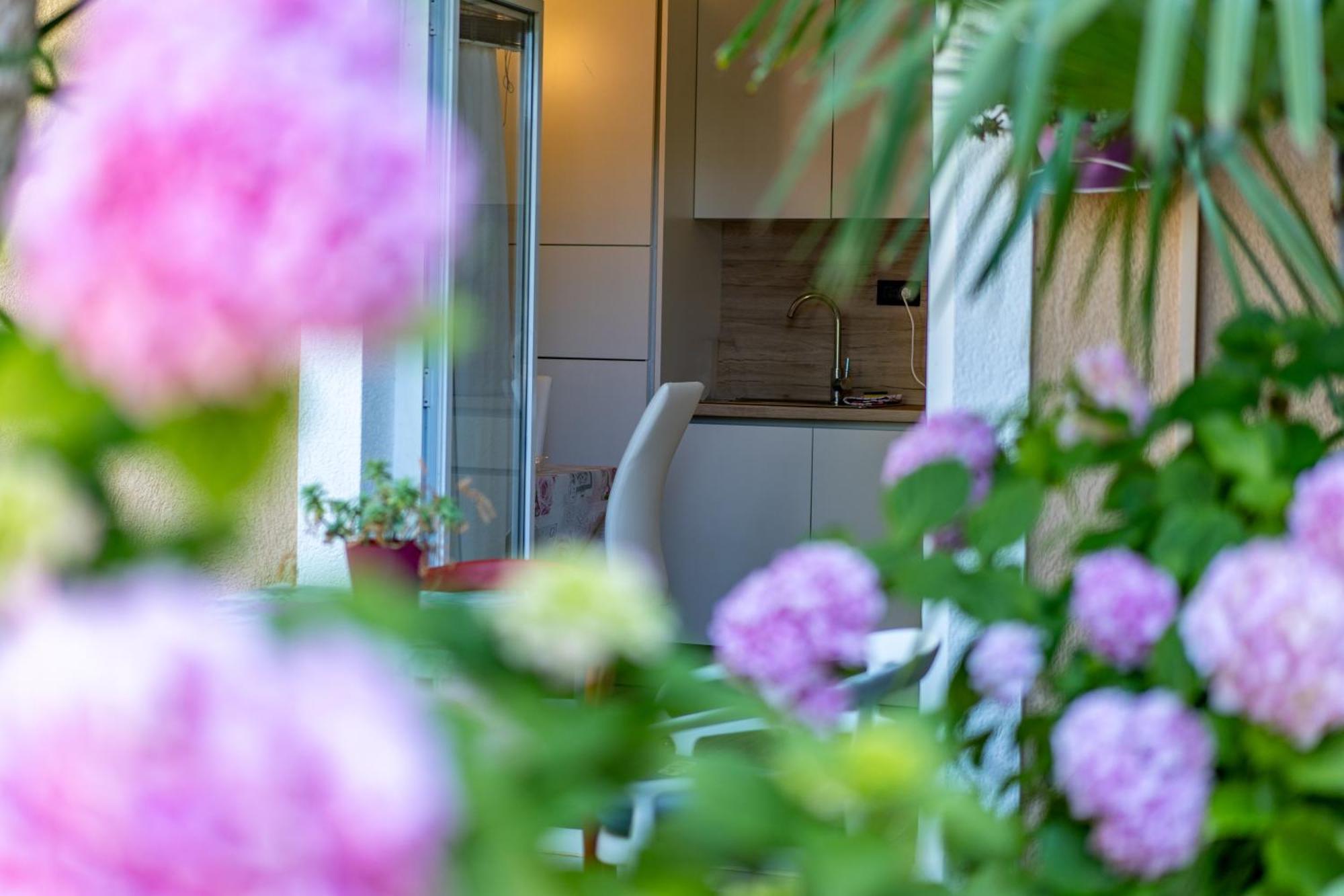 Apartments Villa Rudi بيبينيا المظهر الخارجي الصورة